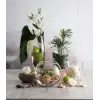 Paşabahçe BOTANICA VAZO 160 MM TEKLİ HEDİYELİK KUTU