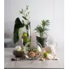 Paşabahçe BOTANICA VAZO 160 MM TEKLİ HEDİYELİK KUTU