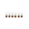 Paşabahçe Ehlikeyf Rakı Set 12 Parça