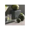 Paşabahçe Elysia Kahve Yanı Bardak 60 Cc 6lı