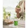 Paşabahçe GAIA DIGESTIVE BARDAK 110 CC 6LI HEDİYELİK KUTU
