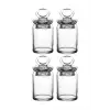 Paşabahçe Kitchen Mini Kavanoz Baharatlık, 4lü Set, Şeffaf Cam