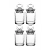 Paşabahçe Kitchen Mini Kavanoz Baharatlık, 4lü Set, Şeffaf Cam