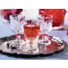 Paşabahçe Tımeless Dıgestıve Kadeh 0 6lı Hediyelik Kutu