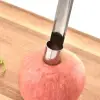 Paslanmaz Çelik Meyve ve Sebze Soyacağı