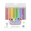 Pastel Renk Kuru Boya Kalemi 24Lü