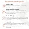 Pasteur Yoğurt Makinesi