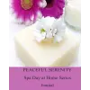Peaceful Serenity Spa Day At Home Series - Journal 16