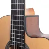 Pera Ceq Elektro Klasik Gitar