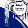Performans Diş Fırçası, Asorti