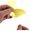 PG164 Şeffaf Gitar Pena Koruyucu