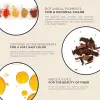 Phytocolor Saç Boyası