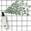Phytodetox Spray