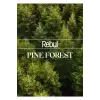 Pine Forest Kolonyalı Mendil, 100 Adet, 5 ml