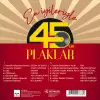 Plak En İyileriyle 45lik lar/YENİ