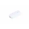 Plastik Arapuar