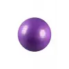 Plates Topu 65 cm + Pompa Mor Renk