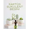 Plot Kaktüs Sukulent Organik İçerikli Bitki Besini 500 ml