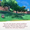 Pokemon Violet oyunu