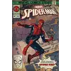 Poster Marvel Spider-Man Comic des