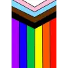Pride Flag Journal