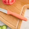Primo Domates Bıçağı Somon 10 cm