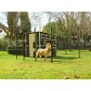 Private Ahşap Köpek Kulübesi