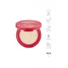 Profashion Stardust Highlighter 320