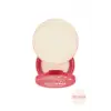 Profashion Stardust Highlighter 320