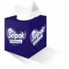 Professional Butik Kutu Mendil