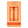 PROFESSIONAL Essentials Bye Bye Frizz Homecare Kit