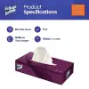 Professional Extra Kutu Mendil, 80 Yaprak