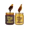 Propolis Macunu + Diyabetik Kozalak Macunu