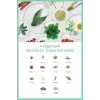 Propolis Mouth Spray