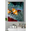 (pster15141) Balık Hayvan Kanvas Tablo 50 x 70