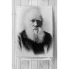 (pster3595) Darwin Bilimsel Poster 3 90x130cm
