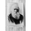 (pster3598) Darwin Bilimsel Poster 3 (70x100cm)