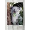 (pster5708) Koala Hayvan Posteri (50x70cm)