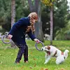 Puller Mını İnteraktif Köpek Oyuncağı, 2 Halkalı Set