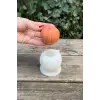 Pumpkin Orta Boy Mum Kalıbı (Silikon)