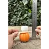Pumpkin Orta Boy Mum Kalıbı (Silikon)