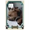 Puppy journal