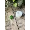 Purpusorum Sukulent Mum Kalıbı, Silikon