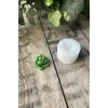 Purpusorum Sukulent Mum Kalıbı, Silikon