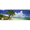 Puzzle Paradise Palm 2000 Parça Panorama