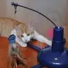 Raptor-Electronic Elektronik Kedi Oyuncağı