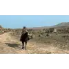 Red dead redemption ps4