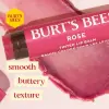 Renkli Dudak Bakım Kremi (Rose)