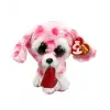 Rory Dog Val Reg