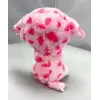 Rory Dog Val Reg